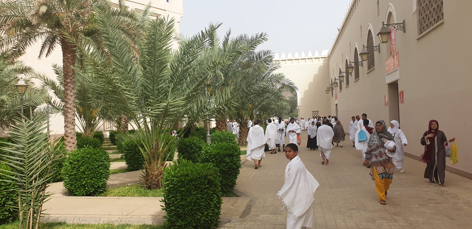 WhatsApp Image 2019-04-26 at 4.10.57 PM (1).jpeg.jpeg